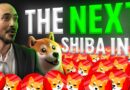 Is Floki The Next Shiba Inu (BULLISH MEME Coins Signs)